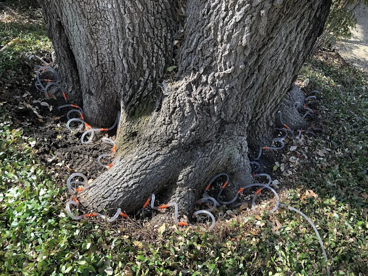 Detailed Shrub and Hedge Trimming job site in Funk